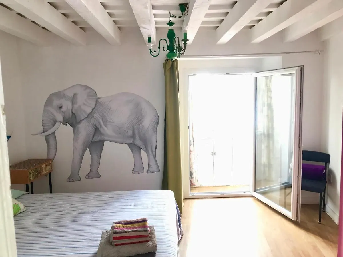 Apartamentos La Selva contacts